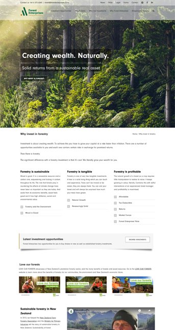 engaging and memorable graphic design and web design,do graphic designer do web design,brighton &amp; hove,east sussex